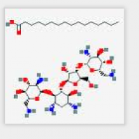 Neomycin Palmitate Neomycin Palmitate
