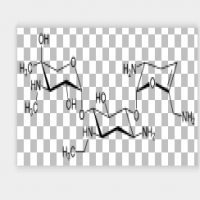 Netilmicin Netilmicin