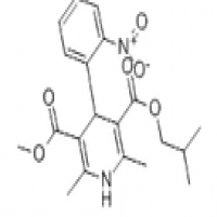 Nisoldipine Nisoldipine