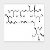 Nistatin Nistatin