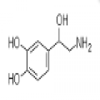 Norepinephrine Norepinephrine