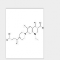 Norfloxacin Succinil Norfloxacin Succinil