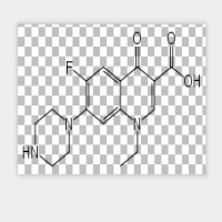 Norfloxacin Norfloxacin