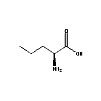 Norvaline Norvaline