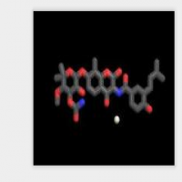 Novobiocin Calicum Novobiocin Calicum