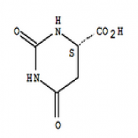 Nucleotide Nucleotide