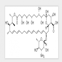 Nystatin Nystatin