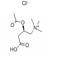 O-Acetyl-L-carnitine hydrochloride O-Acetyl-L-carnitine hydrochloride