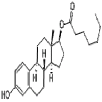 Oestradiol 17-heptanoate Oestradiol 17-heptanoate