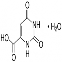 Orotic Acid Monohydrate Orotic Acid Monohydrate