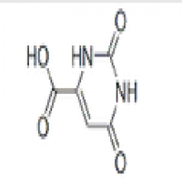 Orotic acid anhydrous Orotic acid anhydrous