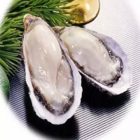 Oyster extract