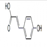 P-Coumaric acid P-Coumaric acid