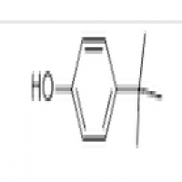 P-tert-Butylphenol P-tert-Butylphenol