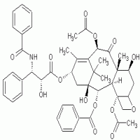 Paclitaxel Paclitaxel