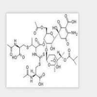 Paldimycin Paldimycin