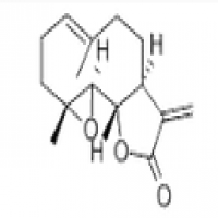 Parthenolide Parthenolide