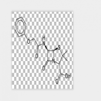 Phenoxymethylpenicillin Phenoxymethylpenicillin