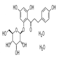 Phloridzin Phloridzin