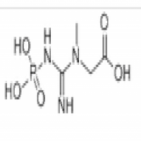 Phosphocreatine Phosphocreatine