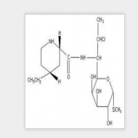 Pirlimycin Pirlimycin