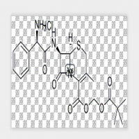 Pivcephalexin Pivcephalexin