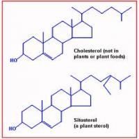 Plant sterols