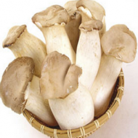 Pleurotus Eryngii Extract