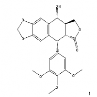 Podophyllotoxin Podophyllotoxin