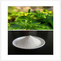 Poly-l-glutamic acid Poly-l-glutamic acid