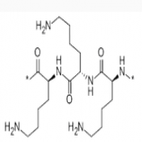 Polylysine Polylysine