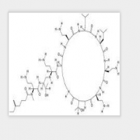 Polymyxin M Polymyxin M