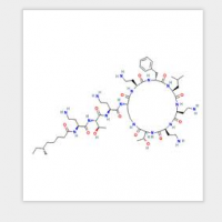 Polymyxin B1 Polymyxin B1