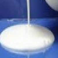 Polyvinylacetate Polyvinylacetate