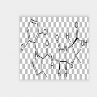Prazocillin Prazocillin