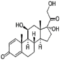 Prednisolone Prednisolone