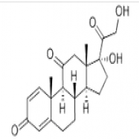 Prednisone Prednisone