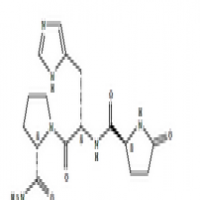 Protirelin Protirelin