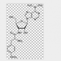 Puromycin Puromycin