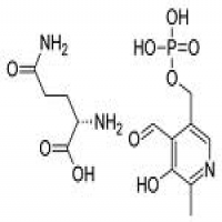 Pyridoxal 5-Phosphate