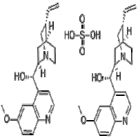 Quinidine Sulfate Quinidine Sulfate