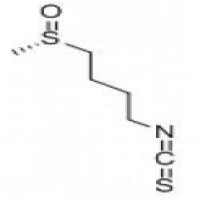 (R)-Sulforaphane (R)-Sulforaphane