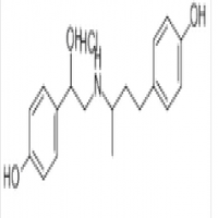 Ractopamine hydrochloride Ractopamine hydrochloride