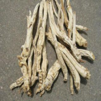 Radix Platycodonis Extract Radix Platycodonis Extract
