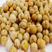 Red Clover Extract Red Clover Extract