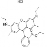 Rhodamine 6G Rhodamine 6G