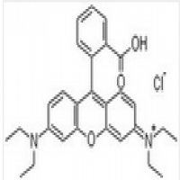 Rhodamine B Rhodamine B