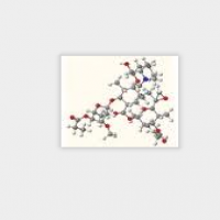 Rifamycin AFDNFI Rifamycin AFDNFI