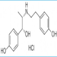 Ritodrine hydrochloride Ritodrine hydrochloride