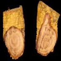 Salacia reticulata extract Salacia reticulata extract